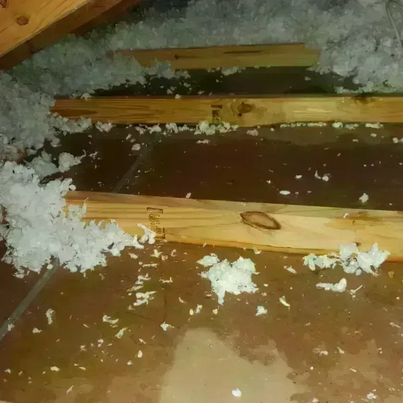 Attic Water Damage in Clackamas County, OR