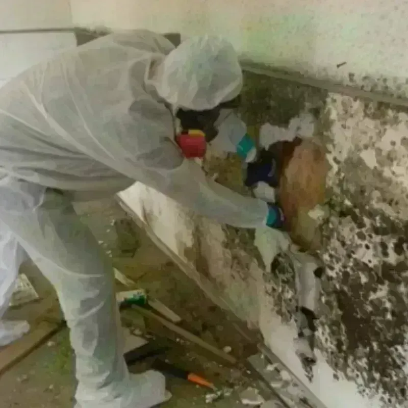 Mold Remediation and Removal in Clackamas County, OR