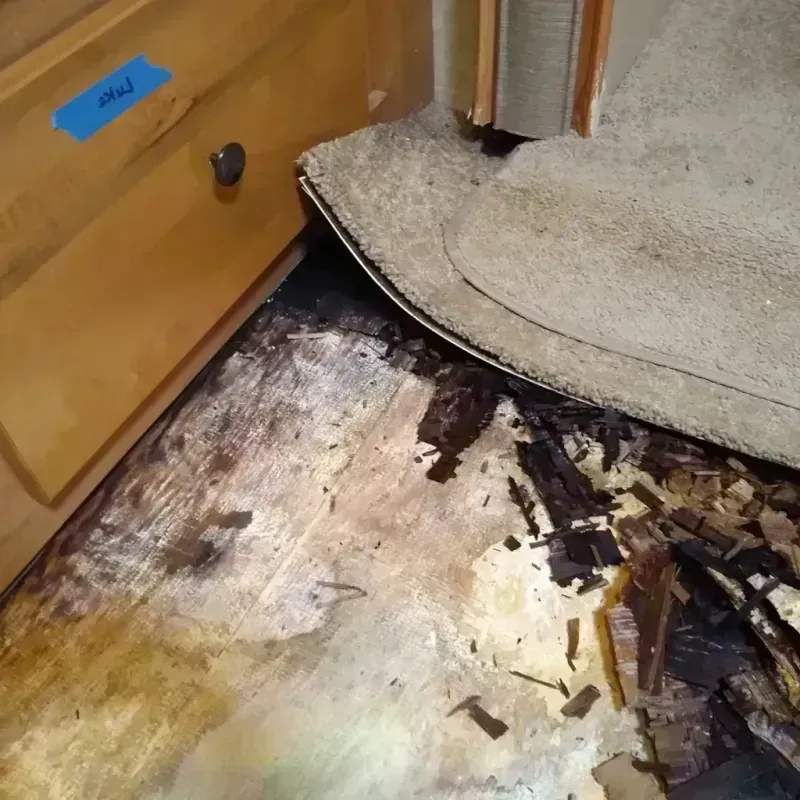 Wood Floor Water Damage in Clackamas County, OR